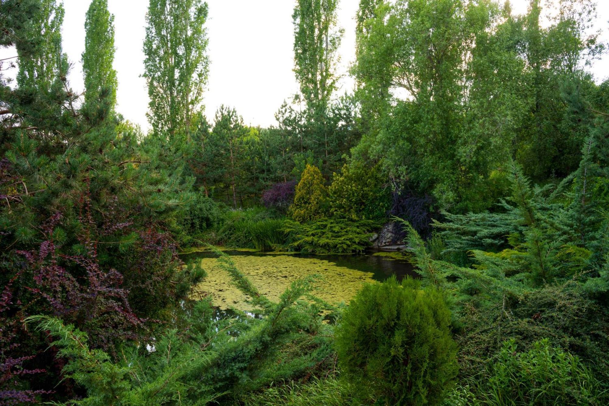 Ma Byurakan Buitenkant foto